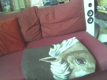 tanjamep 19-07-2021 Nude 